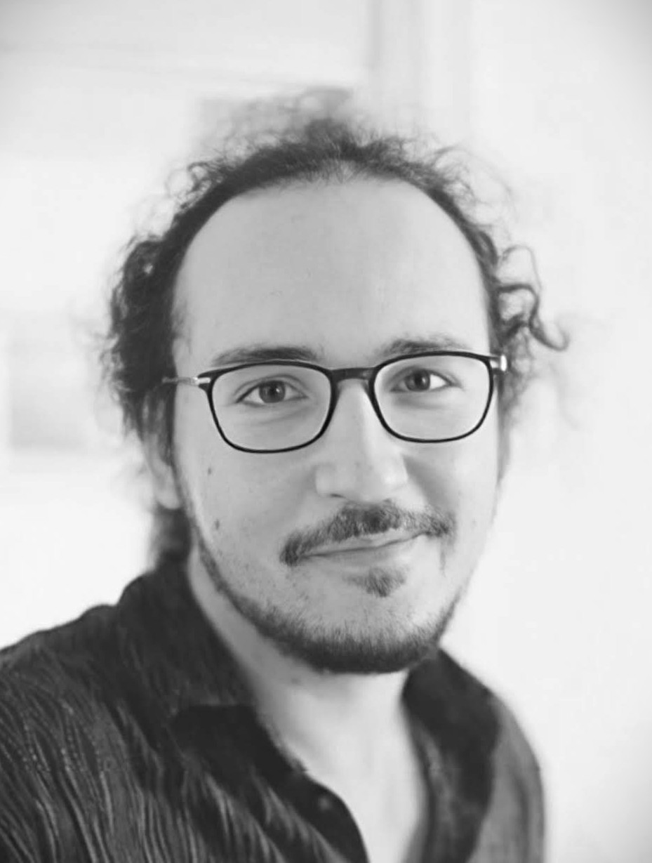 Florin Zainescu photo